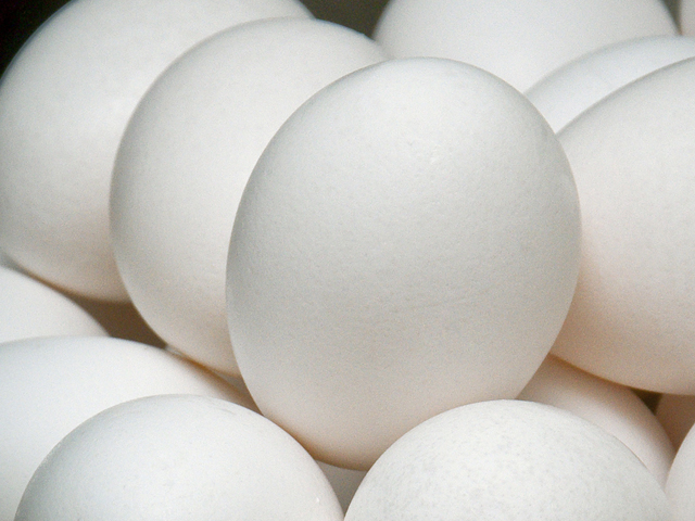 As a result of the 2010 salmonella outbreak, Quality Egg recalled eggs that had been shipped from five of its six Iowa farms between May and August 2010. (Photo by MSU Ag Communications/Scott Corey)
